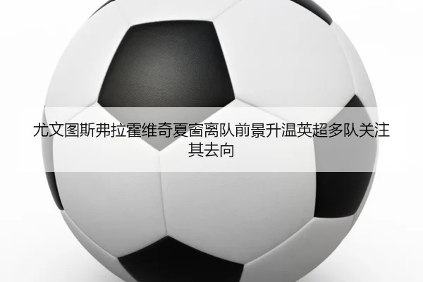 尤文图斯弗拉霍维奇夏窗离队前景升温英超多队关注其去向 - kaiyun
